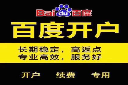 百度竞价公司运营策略：成功案例解析